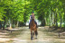 Balade à Cheval entre les Vignes Prieuré Marquet (Saint-Martin-du-Bois, Gironde - 33)