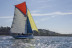 Sortie en Mer et Balade en Bateau dans le Golfe du Morbihan (Arzon, Morbihan - 56)