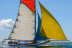 Sortie en Mer et Balade en Bateau dans le Golfe du Morbihan (Arzon, Morbihan - 56)