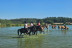 Balade à Cheval au Poney Club Le Cheyenne (Seine-et-Marne, Île-de-France- 77)