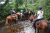 Rando Fermière : Balade à Cheval dans la Vallée de l’Ortolo (Sartène, Corse-du-Sud - 20)