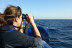 Balade en Mer en Bateau l’Après-midi (La Rochelle, Charente-Maritime- 17)