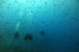 Baptême de Plongée Sous-Marine en Mer Méditerranée (Fréjus, Var - 83)