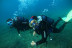 Baptême de Plongée Sous-Marine en Mer Méditerranée (Fréjus, Var - 83)