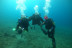 Baptême de Plongée Sous-Marine en Mer Méditerranée (Fréjus, Var - 83)
