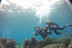Baptême de Plongée dans la baie de Villefranche (Nice, Alpes-Maritimes- 06)