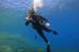 Baptême de Plongée de Luxe avec Randonnée Palmée, Photos et Vidéos (Calvi, Haute-Corse- 20)