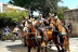 Découverte du Pays de l'Or en Calèche (Lansargues, Hérault - 34)