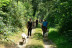 Cani-Randonnée avec des chiens nordiques (Chênehutte, Maine-et-Loire - 49)