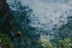 Canyoning dans le Canyon de Ternèze Curienne avec Photos et Vidéos (Le Bourget-du-Lac, Savoie- 73)