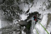 Ice Canyoning Sportif et Verticalités (Annecy, Haute-Savoie - 74)