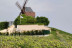 Cours d'Œnologie 3 niveaux (Saint-Herblain, Loire-Atlantique - 44 )