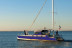 Promenade en Catamaran Mansathau dans l'Étang de Thau (Mèze, Hérault - 34)