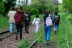 Balade Découverte et Dégustation de Plantes Sauvages (Paris, Île-de-France - 75)