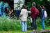 Balade Découverte et Dégustation de Plantes Sauvages (Paris, Île-de-France - 75)