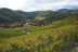 Séjour Œnologique avec Dîner et Dégustation de Vins d'Alsace avec Secrets de Vignobles (Colmar, Haut-Rhin - 68)