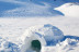 Construction d'Igloo (Formigal, Espagne)