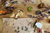 Atelier Couronne de Fleurs à Lille (Templemars, Nord - 59)