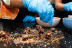 Cours Avancé de Fabrication de Chocolat Artisanal (Paris, Île-de-France- 75)