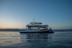 Croisière en Soirée avec Dîner en Catamaran (Var / Bouches-du-Rhône / Alpes-Maritimes)