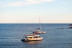 Croisière en Soirée avec Dîner en Catamaran (Var / Bouches-du-Rhône / Alpes-Maritimes)