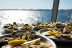 Balade en Bateau avec Dégustation d'Huîtres (Marseillan, Hérault - 34)