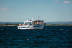 Balade en Bateau avec Dégustation d'Huîtres (Marseillan, Hérault - 34)