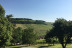 Dégustation Vins et Fromages pour quatre (Sainte-Vertu, Yonne - 89)