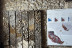 Dégustation de Vin et Visite Œnologique (Podensac, Gironde - 33)