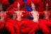Dîner-Spectacle au Moulin Rouge - Menu Toulouse-Lautrec (Paris, Île-de-France - 75)
