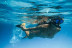 Snorkeling en Randonnée Palmée (Cannes, Alpes-Maritimes - 06)