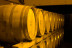 OFFRE ALADINIA : Apéritif en Duo dans la Cave Maison Quiot (Châteauneuf-du-Pape, Vaucluse - 84)