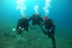 Randonnée Palmée en Mer Méditerranée (Fréjus, Var - 83)