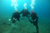 Chasse au Trésor Aquatique (Fréjus, Var - 83)
