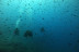 Randonnée Palmée en Mer Méditerranée (Fréjus, Var - 83)