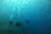 Chasse au Trésor Aquatique (Fréjus, Var - 83)