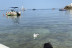 Croisière Journée en Bateau (Hendaye, Pyrénées-Atlantiques - 64)