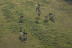 Vol en Montgolfière depuis le Château de Lunéville (Dombasle-sur-Meurthe, Meurthe-et-Moselle - 54)