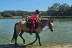 Initiation au Poney Club Le Cheyenne (Seine-et-Marne, Île-de-France- 77)