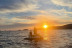 Sortie en Jet Ski sans Permis - Sunset “Les Îles Sanguinaires” (Ajaccio, Corse-du-Sud - 20)
