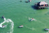 Excursion en Jet Ski à la Découverte du Bassin d'Arcachon (Gujan-Mestras, Gironde - 33)