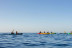 Excursion Détente du Matin en Kayak au Parc National des Calanques (Cassis, Bouches-du-Rhône- 13)