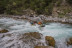 Initiation au Kayak (Saint-Clément-sur-Durance, Hautes-Alpes- 05)