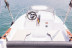 Location de Bateau Sans Permis (Canet-en-Roussillon, Pyrénées-Orientales - 66)