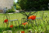 Séjour La Bergerie au Mas des Papillons (Porte-du-Quercy, Lot - 46)