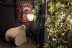 Soin et Massage du Visage aux Fleurs et Fruits de Bali au Natural Spa Institut (Plaisir, Yvelines - 78)