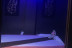 Massage Thailandais de 30min à Amanpur Thaï Spa (Paris, Île-de-France - 75)