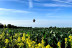 Vol en Montgolfière au départ d’Amiens, Abbeville, Arras et Saint-Omer (Hauts-de-France)