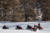 Randonnée en Motoneige Biplace (Risoul, Hautes-Alpes- 05)