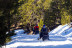 Parcours en Motoneige à Naturland (Andorre)